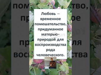 #смешной#shortsvideo #ТОЧНОЕ ОПРЕДЕЛЕНИЕ ЛЮБВИ, чувствую что... это правда! 