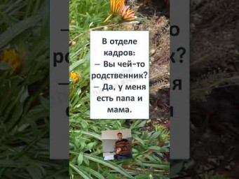 #мем#смехпродлеваетжизнь#прикол#смешновидео#смех#юмор#рек #В ОТДЕЛЕ КАДРОВ 