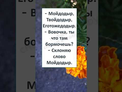 #юмор #шутки #смешно #анекдоты #ШКОЛЬНЫЙ АНЕКДОТ про СКЛОНЯЮЩЕГО ВОВОЧКУ #юмор #шутки #смешно #анекдоты #ШКОЛЬНЫЙ АНЕКДОТ про СКЛОНЯЮЩЕГО ВОВОЧКУ