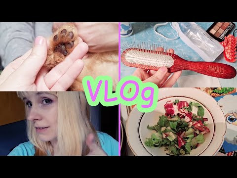 VLOg Новая расческа для Хэппи Maxipin | крашу волосы | ем салат VLOg Новая расческа для Хэппи Maxipin | крашу волосы | ем салат