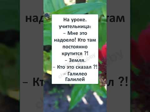 #смех #юмор #анекдот #шутки #прикол #САМАЯ ВЕСЁЛАЯ ШКОЛЬНАЯ ОТМАЗКА #смех #юмор #анекдот #шутки #прикол #САМАЯ ВЕСЁЛАЯ ШКОЛЬНАЯ ОТМАЗКА