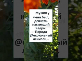 #юмор #смех #анекдоты #funny #funnyvideo #Им ДАРИШЬ ЦВЕТЫ, провожаешь до ПОДЪЕЗДА а они... #Shorts