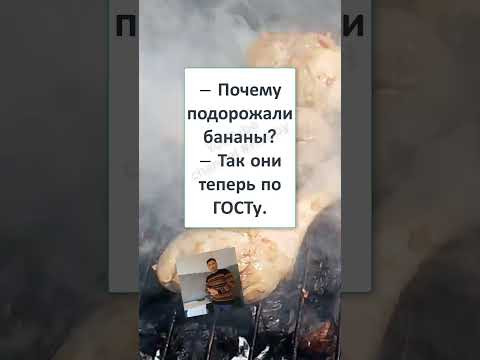 #смех #прикол #анекдоты #юмор #shortvideo #shorts #memes #ПОЧЕМУ ПОДОРОЖАЛИ БАНАНЫ? #смех #прикол #анекдоты #юмор #shortvideo #shorts #memes #ПОЧЕМУ ПОДОРОЖАЛИ БАНАНЫ?
