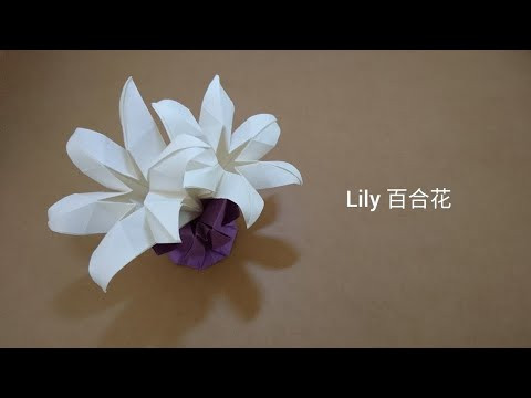 Origami Lily Flower/ Paper 6-petal Flower 折纸百合花 (V2)