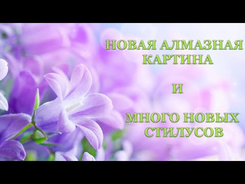 Алмазная вышивка. Обзор "Голубоглазый пушистик" и новые стилусы. Алмазная вышивка. Обзор "Голубоглазый пушистик" и новые стилусы.