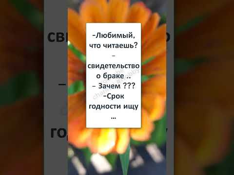 #смех #шутка #анекдот #юмор #ГАРАНТИЯ ГОД или ВОЗВРАТ на ПРОТЯЖЕНИИ 14 дней #смех #шутка #анекдот #юмор #ГАРАНТИЯ ГОД или ВОЗВРАТ на ПРОТЯЖЕНИИ 14 дней