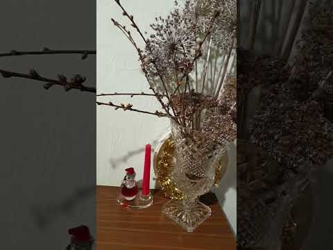 Поздравляю с наступающим НОВЫМ ГОДОМ #shorts / Василиса Поздравляю с наступающим НОВЫМ ГОДОМ #shorts / Василиса