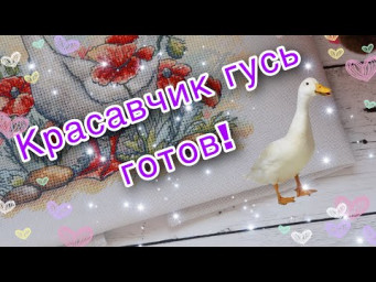 193. Прекрасный АКВАРЕЛЬНЫЙ сюжет ГОТОВ! Красавчик в маках от А. Петуновой