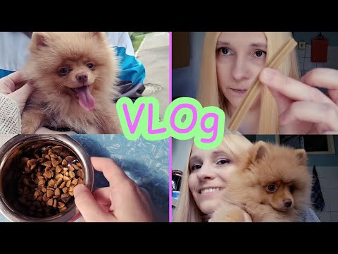 Хэппи перестал жевать | Последние выходные лета VLOg