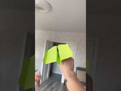 World Record Paper Plane? Or Just My Ceiling Fan’s Worst Day #origami #airplane #diy #papercraft World Record Paper Plane? Or Just My Ceiling Fan’s Worst Day #origami #airplane #diy #papercraft