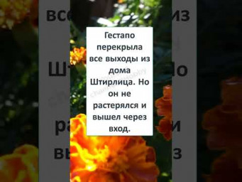 #юмор #шутки #смешно #анекдоты #НЕ РАСТЕРЯННЫЙ ШТИРЛИЦ 