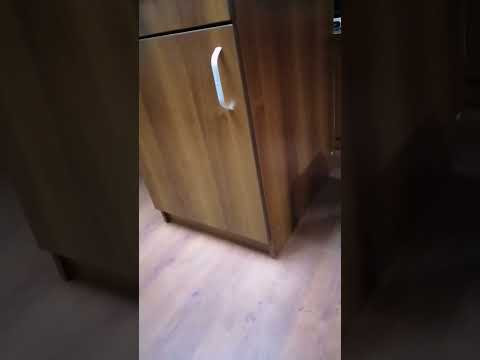 Смешные кошечки Смешные кошечки