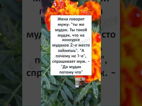 #юмор #смех#анекдоты #мужчина #женщина #funny #memes #КОГДА ЖЕНА без НАСТРОЕНИЯ #юмор #смех#анекдоты #мужчина #женщина #funny #memes #КОГДА ЖЕНА без НАСТРОЕНИЯ
