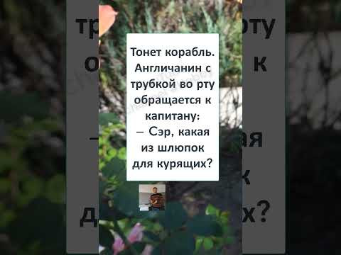 #шутки #юмор #смешно #ржач #СЭР, ВЫ НАСТОЯЩИЙ ИНТЕЛЛИГЕНТ! #шутки #юмор #смешно #ржач #СЭР, ВЫ НАСТОЯЩИЙ ИНТЕЛЛИГЕНТ!