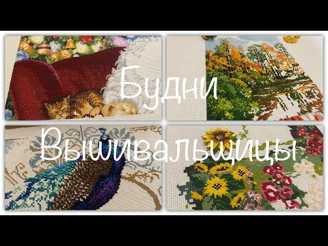 #326.Будни Вышивальщицы 20-30.01.23/Много вышивала, гуляла/Продвижения по всем основным процессам #326.Будни Вышивальщицы 20-30.01.23/Много вышивала, гуляла/Продвижения по всем основным процессам