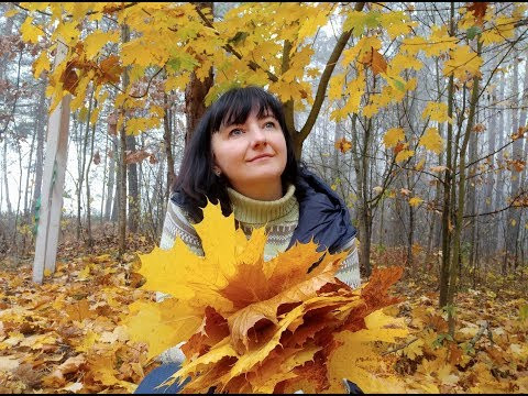 В красках осени 2019. Фотоальбом. В красках осени 2019. Фотоальбом.