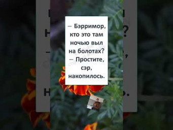#шуточное #юмор #анекдоты #мем #ЭТОЙ НОЧЬЮ СОБАКА БАСКЕРВИЛЕЙ ОТДЫХАЛА 