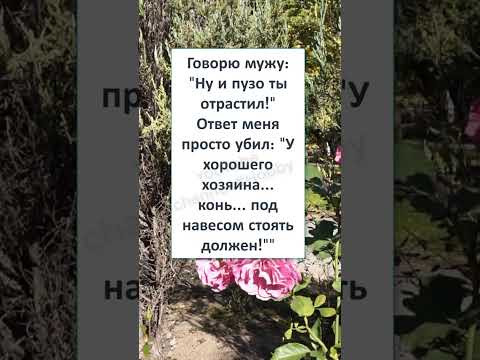 #шутки #юмор #смешно #ржач #АНЕКДОТ про КОНЯ 