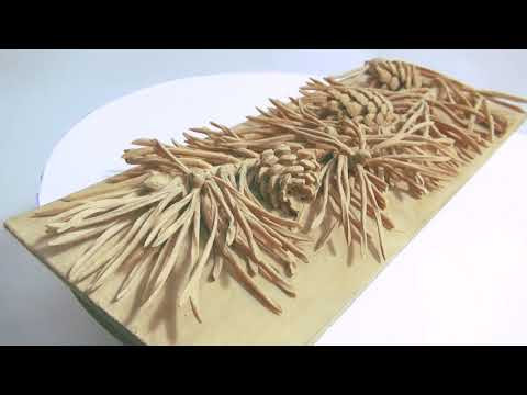 Amazing Woodcarving: a pine branch with cones - Резная Сосновая веточка Amazing Woodcarving: a pine branch with cones - Резная Сосновая веточка