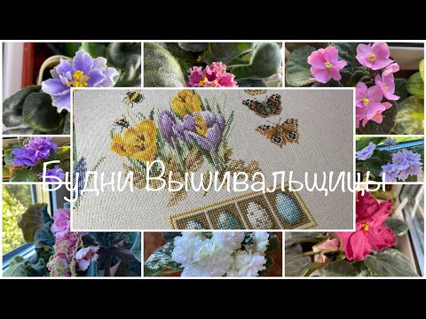 #481. Будни Вышивальщицы 10-20.05.25/ Продвигаю Just nan, Lanarte, Аметист и Мишку/ Мои растения