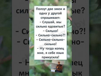 #смешной#shortsvideo #ПОЛЗУТ ДВЕ ЗМЕИ 