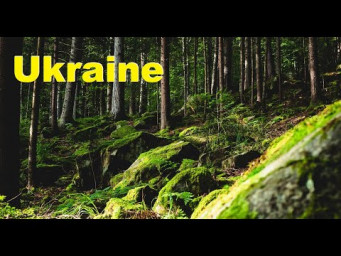 Подорож в Карпати, Україна | Travel to Ukraine