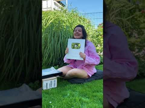 Моя кнопка Моя кнопка