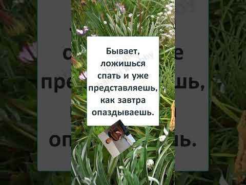 #юмор #прикол #шуточное #И ПРИСНИТСЯ ВАМ ВЕЩИЙ СОН! 