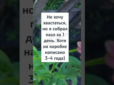 #смех #юмор #анекдот #шутки #прикол #IQ ПАРНЯ ЗАШКАЛИВАЕТ! #смех #юмор #анекдот #шутки #прикол #IQ ПАРНЯ ЗАШКАЛИВАЕТ!
