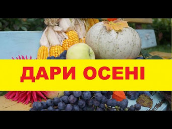 ДАРИ ОСЕНІ | Заняття для дошкільнят з ознайомлення з природним довкіллям