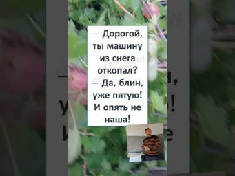 #юмор #прикол #шуточное #ДОРОГОЙ, ТЫ ОТКОПАЛ? 
