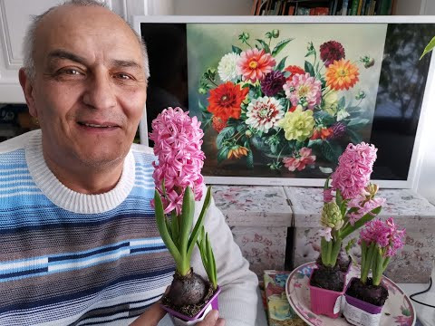 Мужской взгляд на вышивку ! Супер выпуск ! 13 серия Мужской взгляд на вышивку ! Супер выпуск ! 13 серия