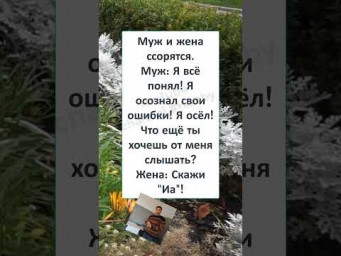 #юмор #смех #анекдоты #funny #ВЕСЁЛАЯ ЖЕНА 