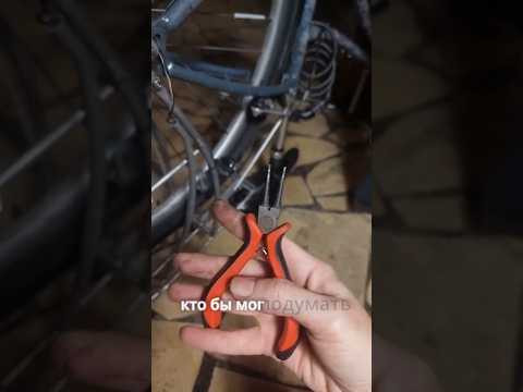 ⛔Волшебные КРУГЛОГУБЦЫ ⛔Волшебные КРУГЛОГУБЦЫ
