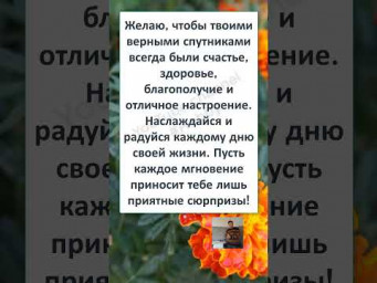 #смех #ПОЗДРАВЛЕНИЕ с ДНЁМ РОЖДЕНИЯ! или ЮБИЛЕЕМ   для ЗАМЕЧАТЕЛЬНОГО ЧЕЛОВЕКА!  