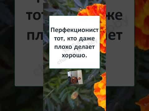 #юмор #смех #анекдоты #funny #fun #memes #А ЭТО ХОРОШО? или СЛИШКОМ ХОРОШО? #юмор #смех #анекдоты #funny #fun #memes #А ЭТО ХОРОШО? или СЛИШКОМ ХОРОШО?