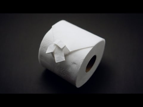 Origami Toilet Paper Fly (Jo Nakashima & Adriano Mariani) Origami Toilet Paper Fly (Jo Nakashima & Adriano Mariani)