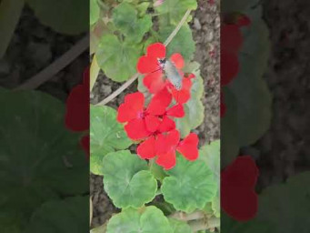 Отпуск и новый старт)