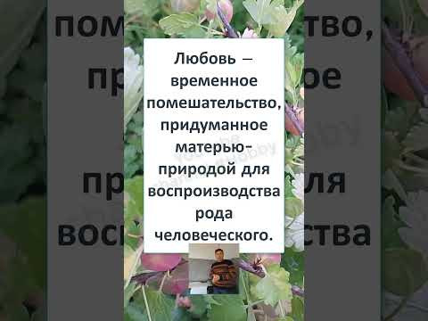 #смешной#shortsvideo #ТОЧНОЕ ОПРЕДЕЛЕНИЕ ЛЮБВИ, чувствую что... это правда! 