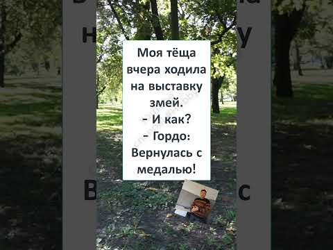 #юмор #смех #анекдоты #funny #fun #memes #ПОСВЯЩАЕТСЯ ЕГО ТЁЩЕ 