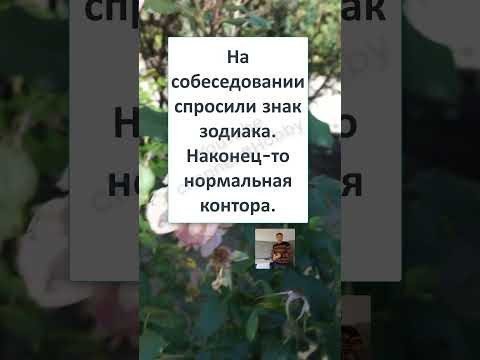 #юмор #смех #анекдоты #funny #fun #РОДСТВЕННЫЕ ДУШИ  