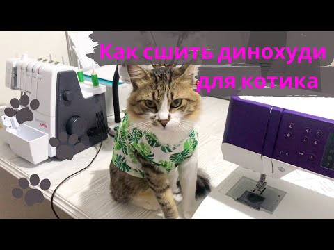 Динохуди для кота