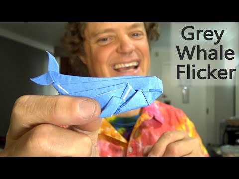Origami Grey Whale Flicker Origami Grey Whale Flicker