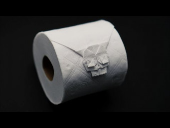 ORIGAMI TOILET PAPER SKULL  (Jo Nakashima)