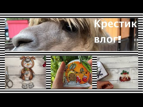 336. Крестик влог: Покупки схем, процессы, готовые работы. Декабрь 2022