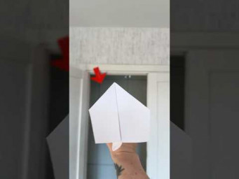 312 Feet?! World Record Paper Plane Hits the Target! #diy #papercraft #paperplane
