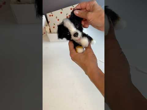 Custome made dog, crochet dog by photo, Border Collie dog #crochet #dogloversdog