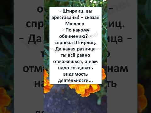 #юмор #шутки #смешно #анекдоты #ЧУЖОЙ среди СВОИХ, СВОЙ среди ЧУЖИХ #юмор #шутки #смешно #анекдоты #ЧУЖОЙ среди СВОИХ, СВОЙ среди ЧУЖИХ