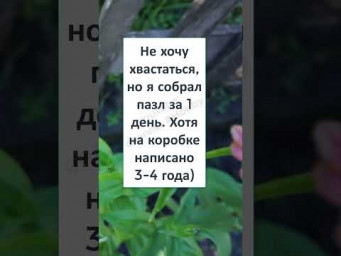 #смех #юмор #анекдот #шутки #прикол #IQ ПАРНЯ ЗАШКАЛИВАЕТ! 