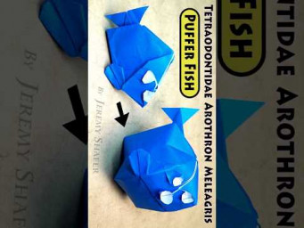 Origami Pufferfish #shorts Inflatable Puffer Fish 